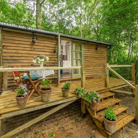 Woodland Retreat Shepherds Hut Villa Brundish Dış mekan fotoğraf