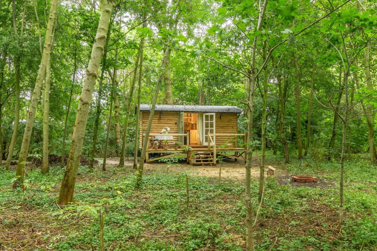 Woodland Retreat Shepherds Hut Villa Brundish Dış mekan fotoğraf